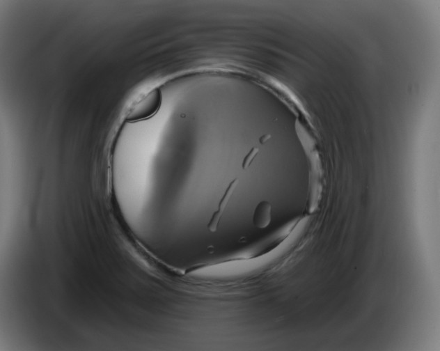 X0000086221371200704191729