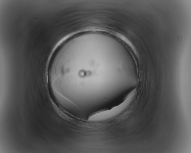 X0000086221372200704191729