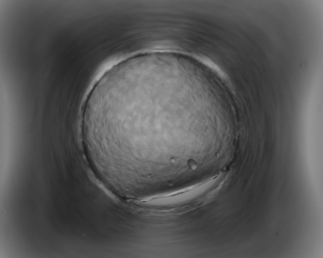 X0000086221374200704191729