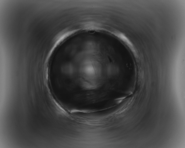 X0000086221376200704191729