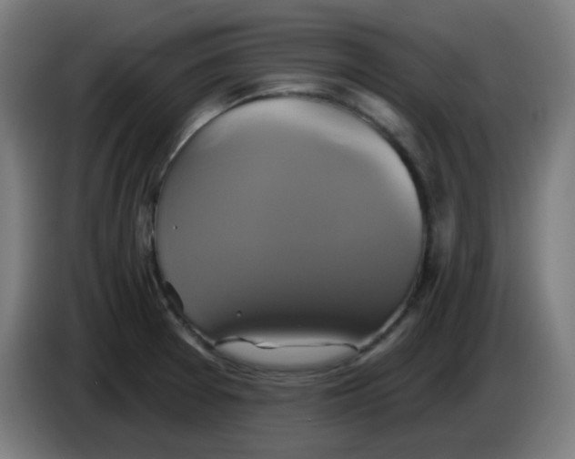 X0000086221377200704191729