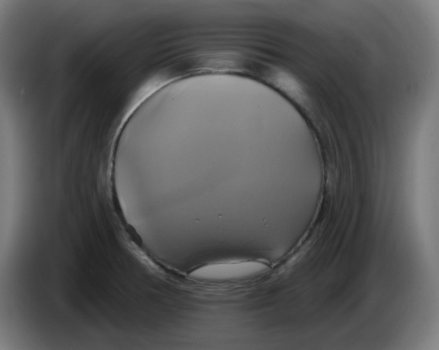 X0000086221378200704191729