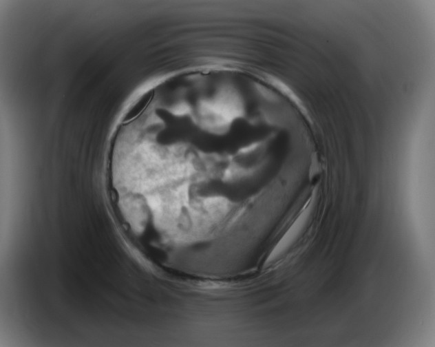 X0000086221379200704191729