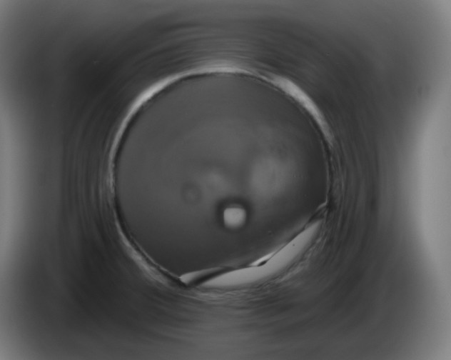 X0000086221380200704191729