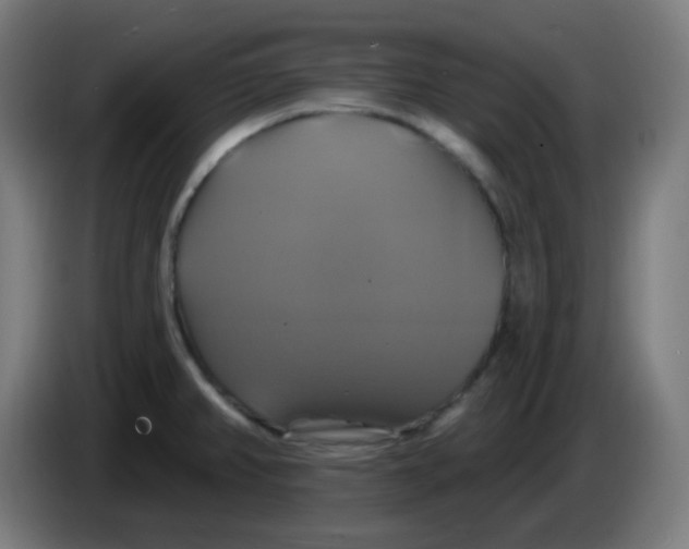 X0000086221382200704191729