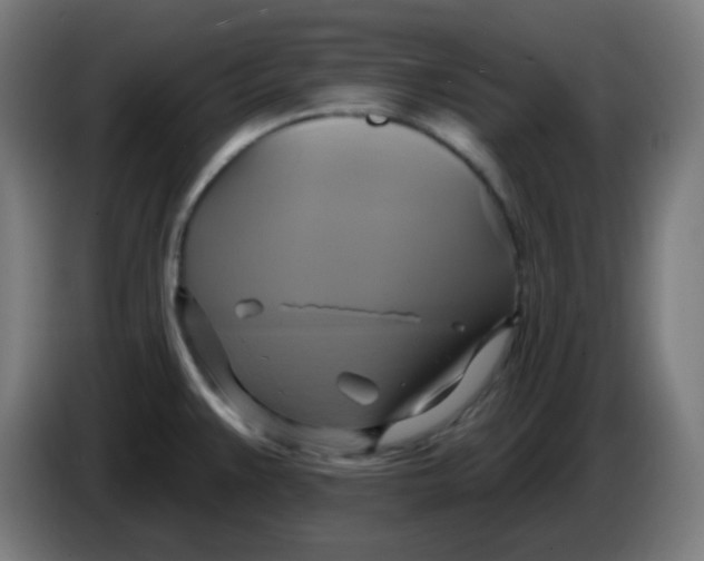 X0000086221383200704191729