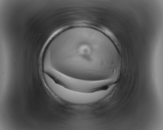 X0000086221384200704191729