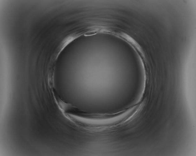 X0000086221385200704191729