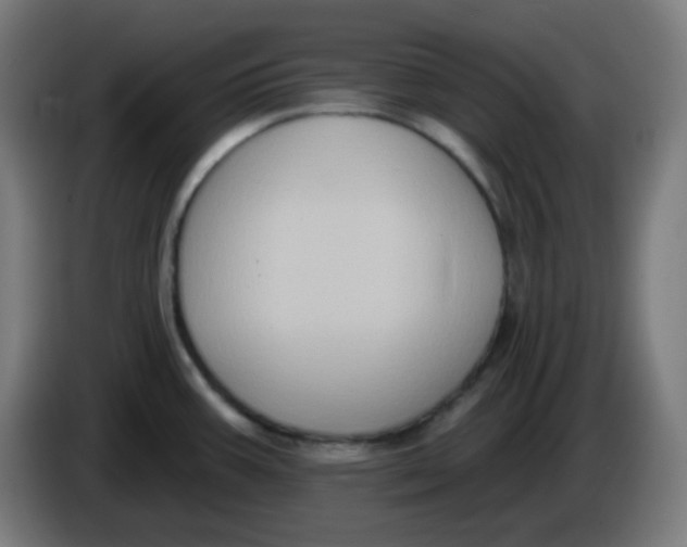 X0000086221387200704191729