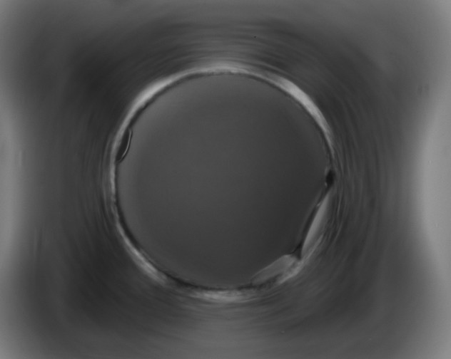 X0000086221388200704191729