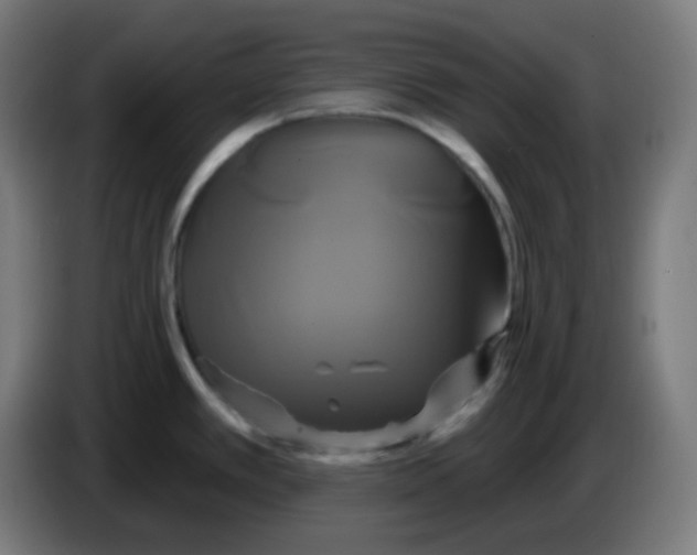 X0000086221389200704191729