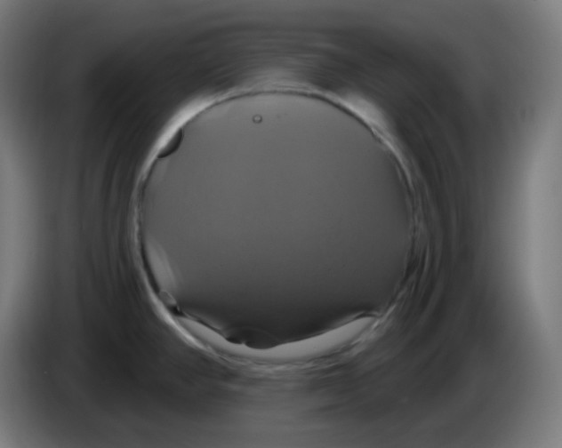 X0000086221390200704191729