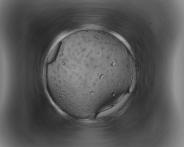 X0000086221391200704191729