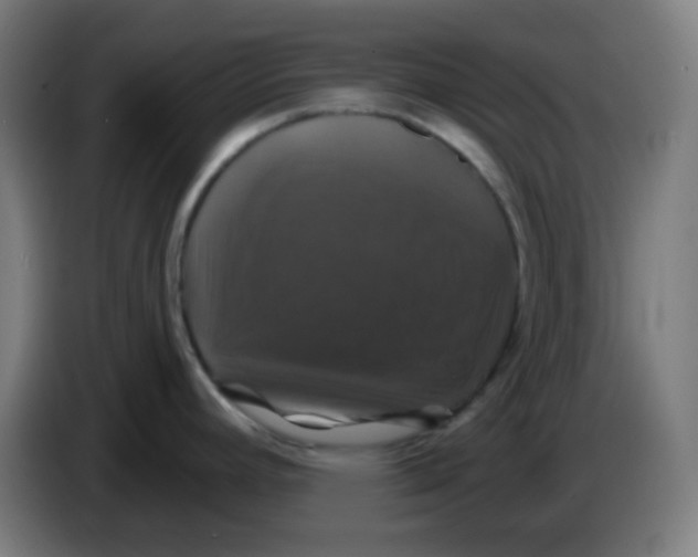 X0000086221392200704191729