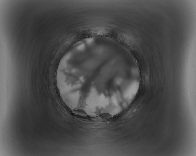 X0000086221393200704191728