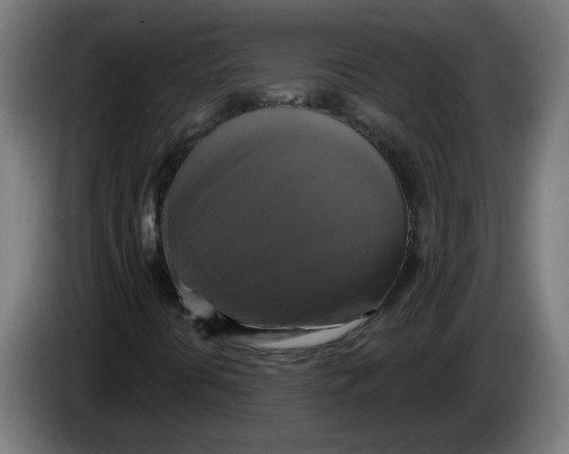 X0000086221394200704191728