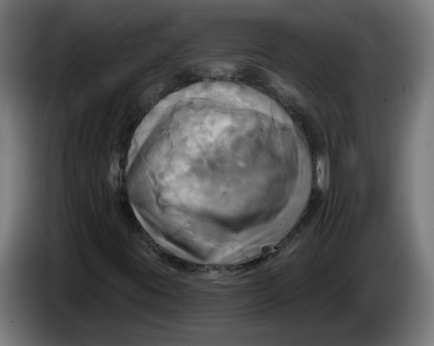 X0000086221395200704191728