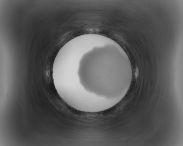 X0000086221396200704191728