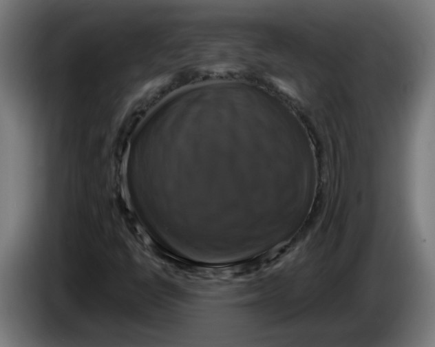 X0000086221398200704191728