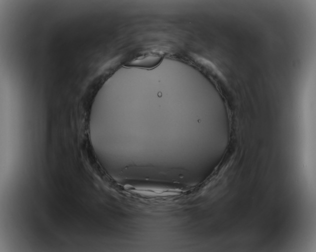 X0000086221399200704191728