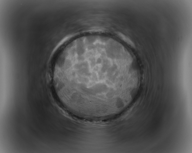 X0000086221400200704191728