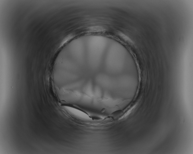 X0000086221401200704191728