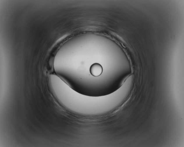 X0000086221402200704191728