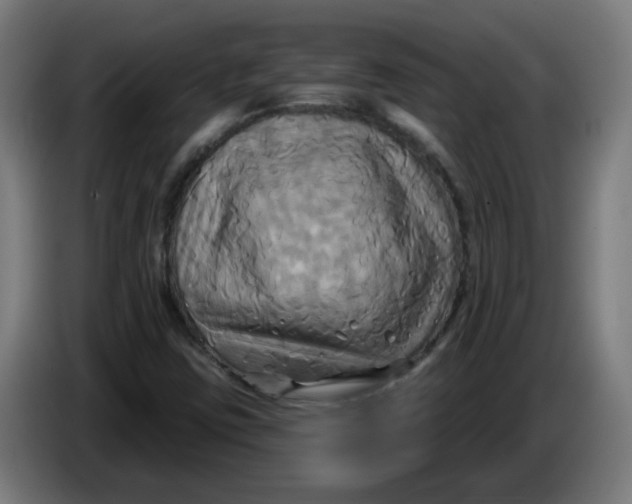 X0000086221403200704191728