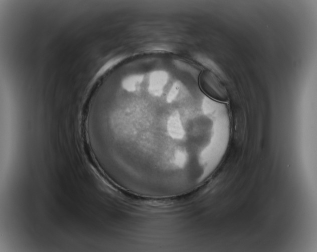 X0000086221404200704191729