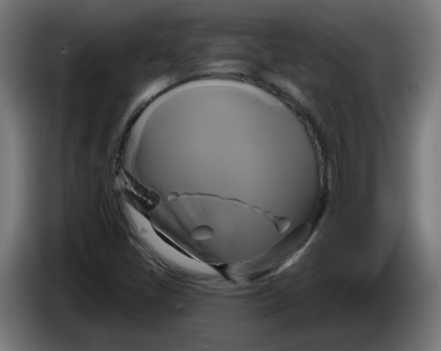 X0000086221405200704191729