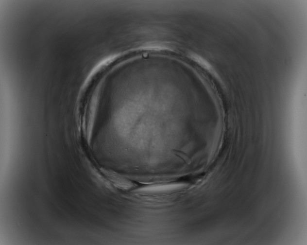 X0000086221408200704191729