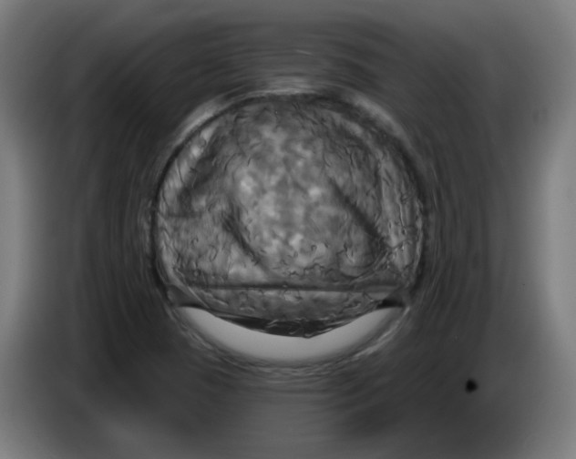 X0000086221409200704191729