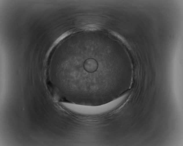 X0000086221410200704191729