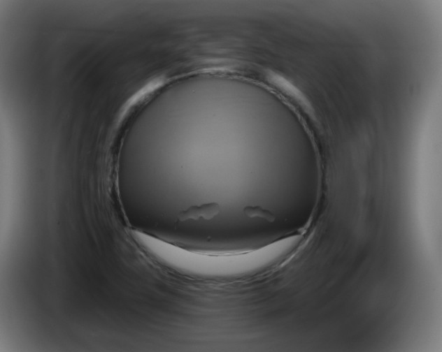 X0000086221411200704191729