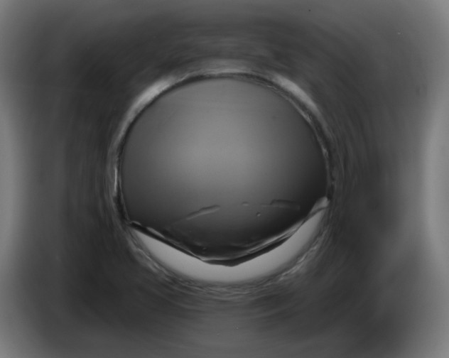 X0000086221413200704191729