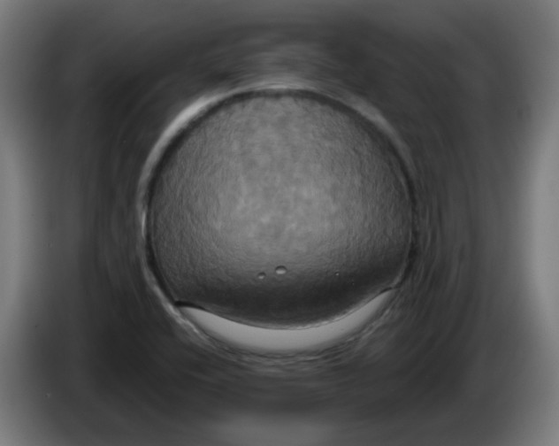 X0000086221416200704191729