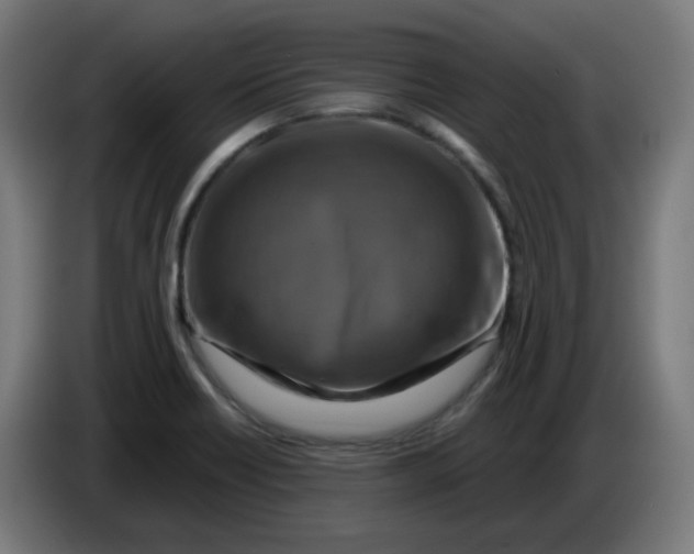 X0000086221418200704191729