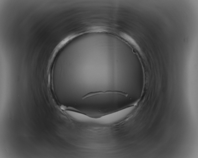 X0000086221419200704191729