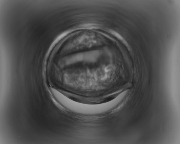 X0000086221421200704191729