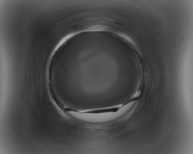 X0000086221422200704191729