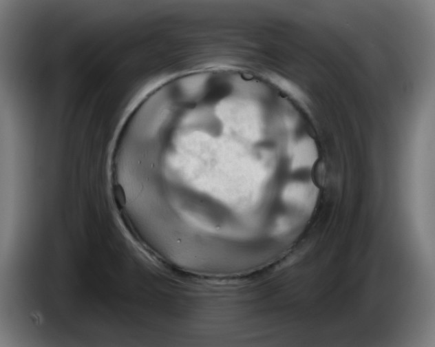 X0000086221423200704191729