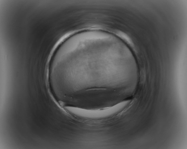 X0000086221424200704191729