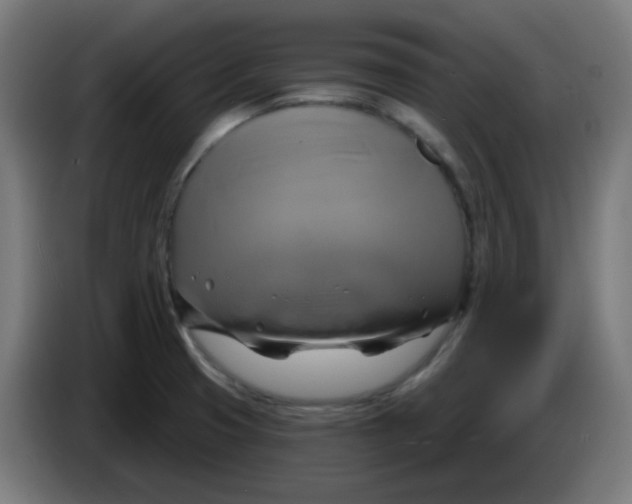 X0000086221425200704191729