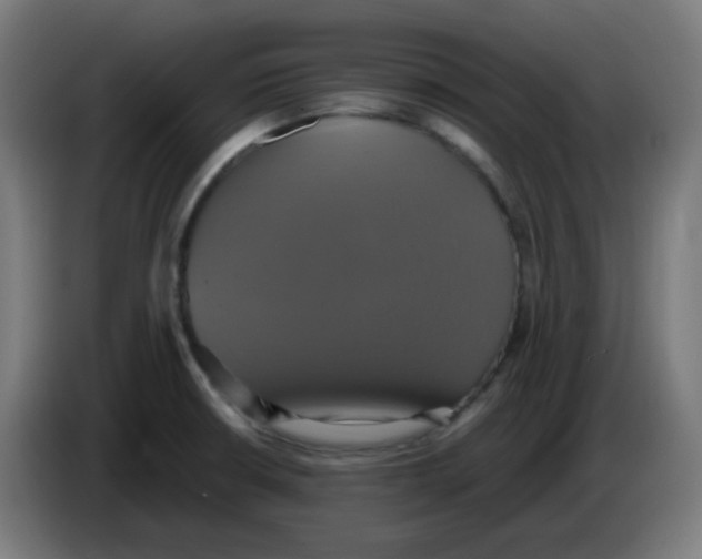 X0000086221426200704191729