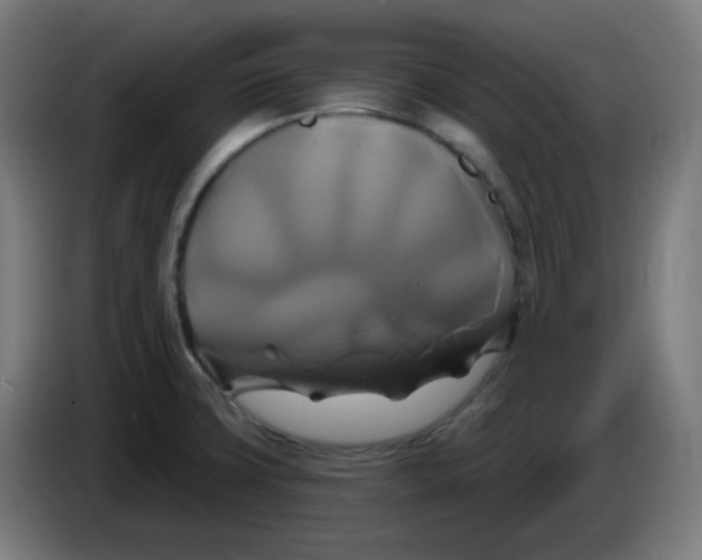 X0000086221427200704191729