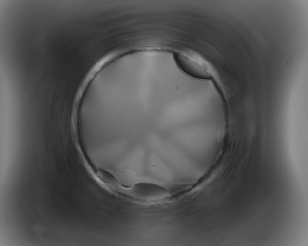 X0000086221429200704191729