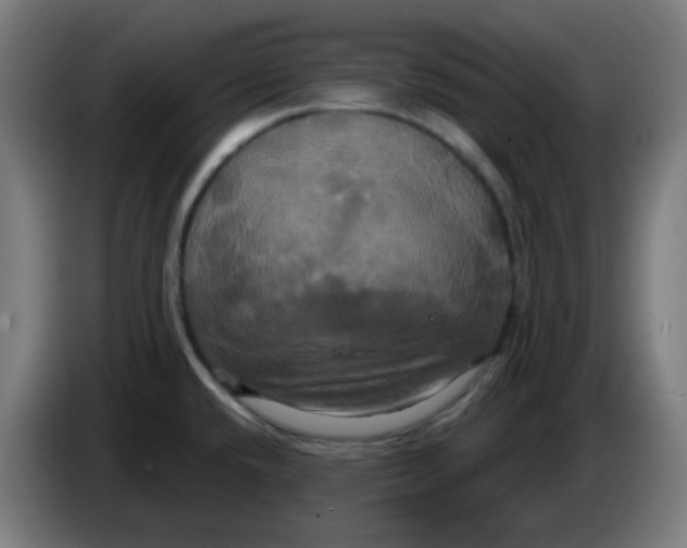 X0000086221432200704191729