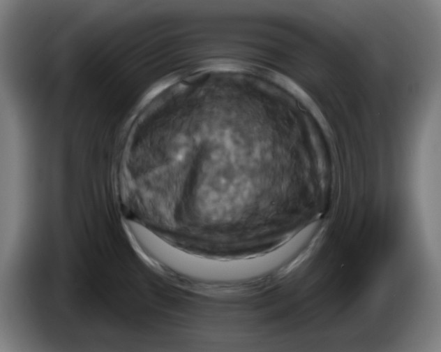 X0000086221433200704191729