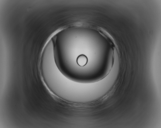 X0000086221434200704191729