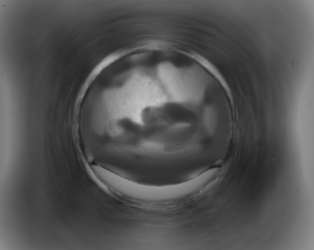 X0000086221437200704191729